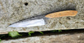 Couteau de cuisine